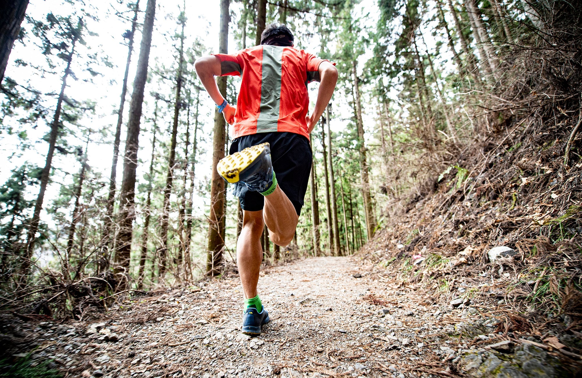 【ビギナー必見】トレイルランニングしてみませんか?トレランの始め方