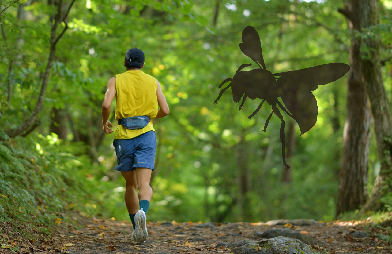 トレイルランニングの虫(スズメバチ)対策と処置方法