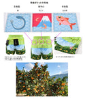 静岡 ふじ茶ん ランニング 6ポケット ショートパンツ(レディース)【ご当地パンツ】 TRP21SZOW5【公式ストア限定】 - 11