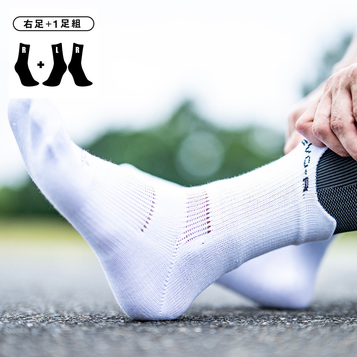 ラウンド型ソックス | R×L(アールエル) 公式 Online ショップ